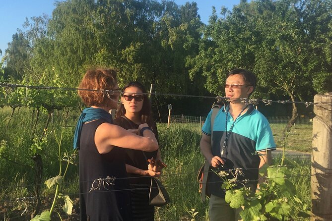 Vienna Wine Experience - Weather, timing, and practical limits