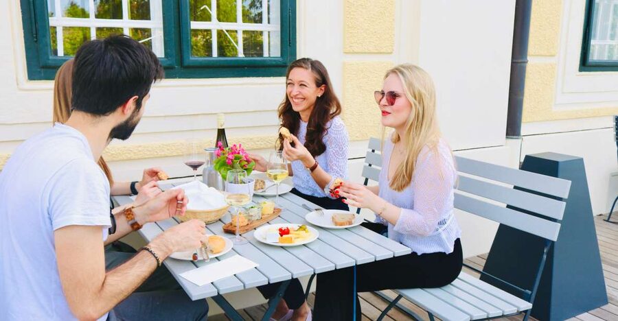 Vienna: Wine Tasting at Schönbrunn Palace - Key points to know before booking
