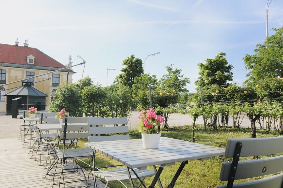 Vienna: Wine Tasting at Schönbrunn Palace - My booking verdict