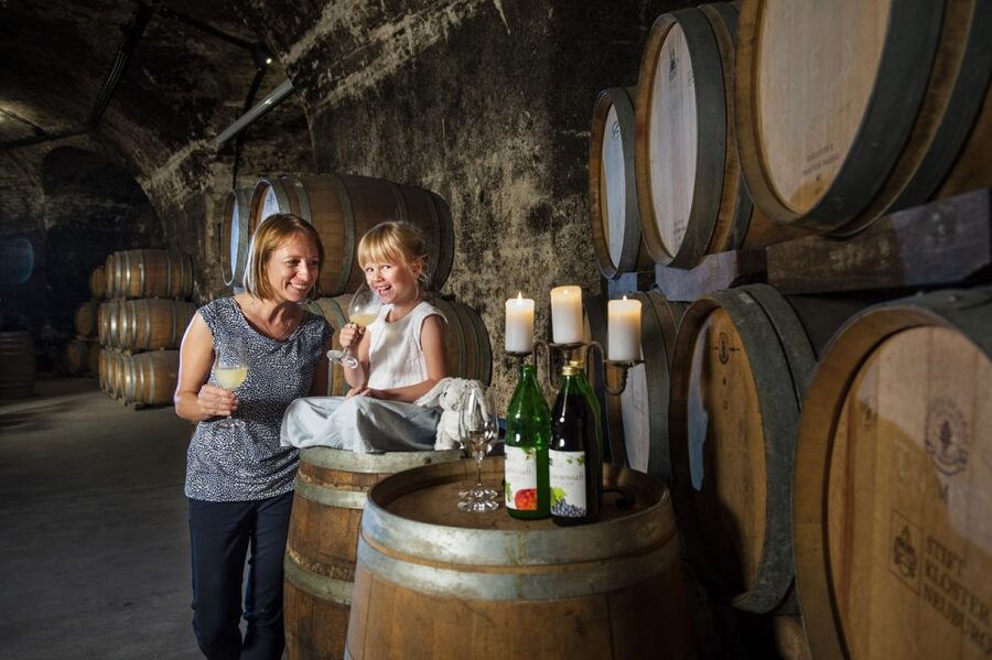 Vienna: Wine Tasting E-Bike Tour - Key points to know before you book