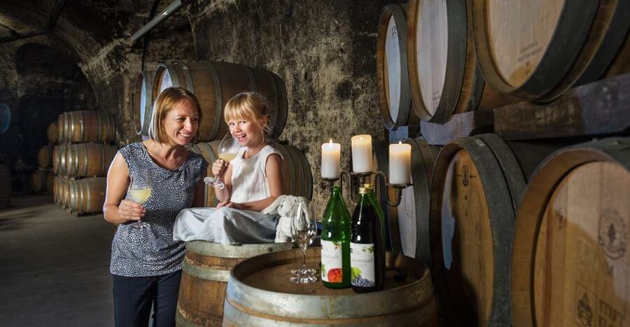 Vienna: Wine Tasting E-Bike Tour - Why this tour works so well in Vienna
