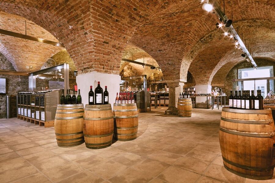 Vienna: Wine Tasting E-Bike Tour - Is $111 a fair price?