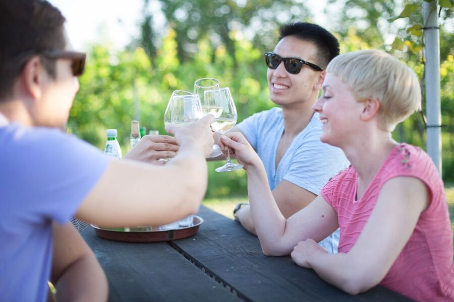 Vienna: Wine Tasting E-Bike Tour - Final verdict: should you book it?