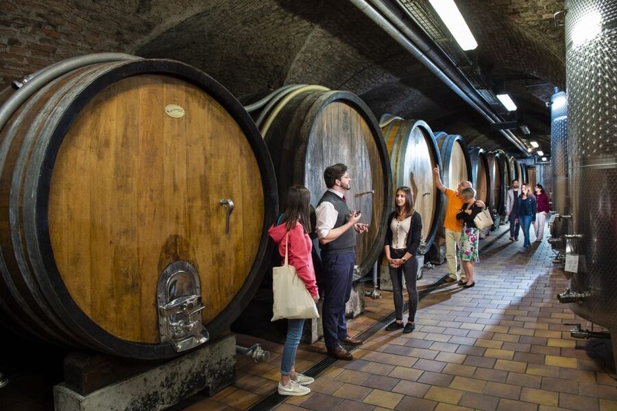 Vienna: Wine Tasting E-Bike Tour - From the Ringstrasse to the Danube Canal