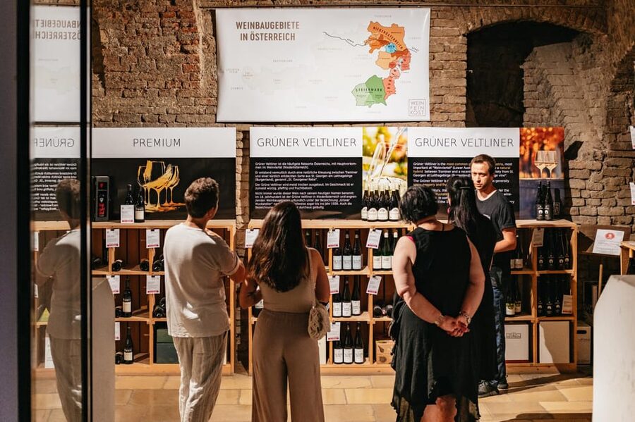 Vienna: Wine Tasting Experience in a Private Wine Cellar - What goes into the glass