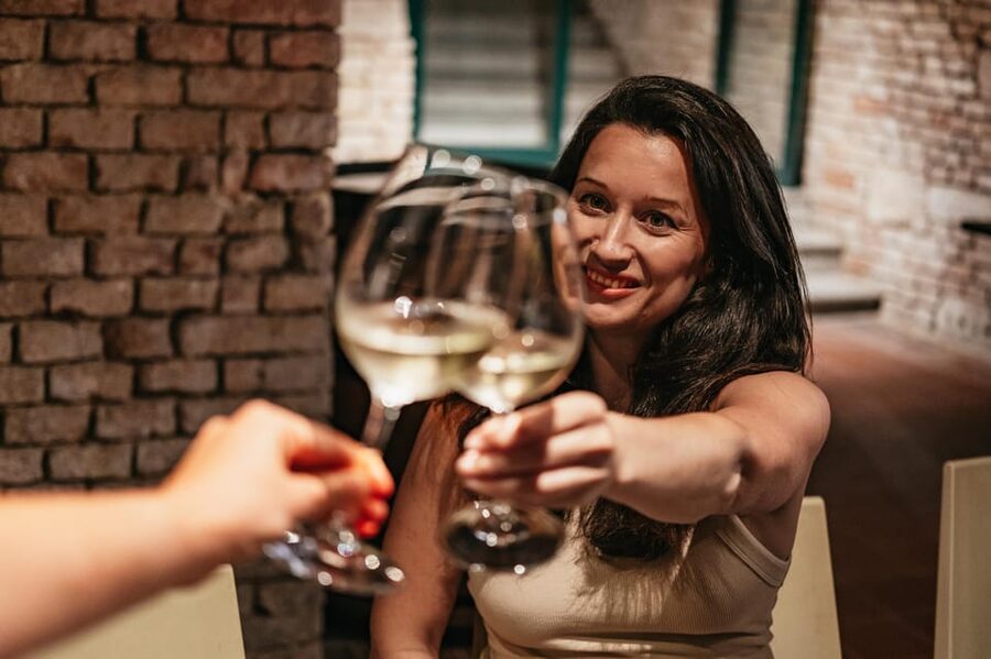Vienna: Wine Tasting Experience in a Private Wine Cellar - Group size, language, and atmosphere