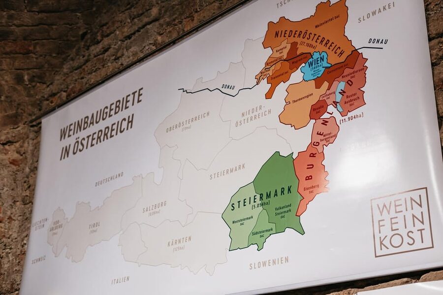Vienna: Wine Tasting Experience in a Private Wine Cellar - What I would ask before choosing an option