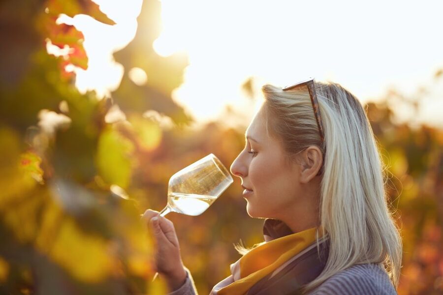 Vienna: Winery and Wine Tasting Tour with a Wine Expert - Vienna, Austria’s wine city