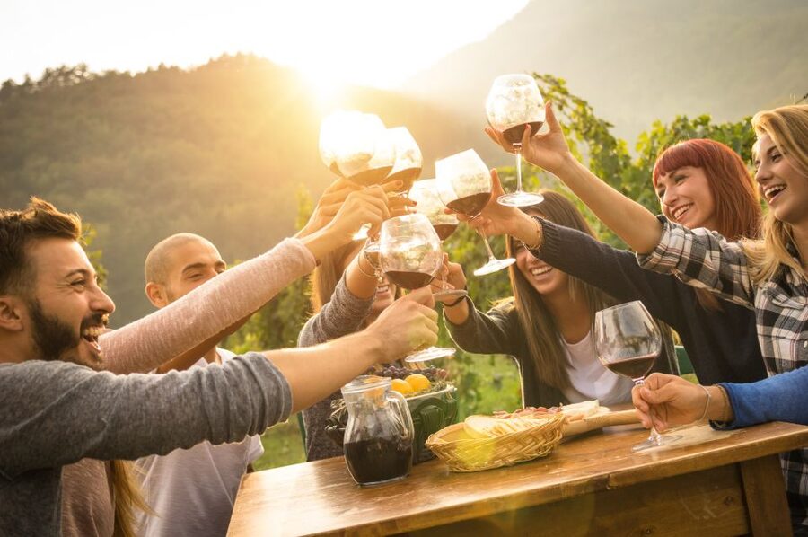 Vienna: Winery and Wine Tasting Tour with a Wine Expert - Is $309 a fair price?