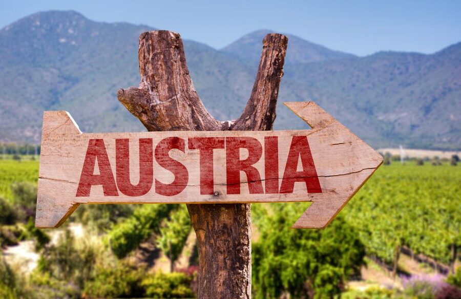 Vienna: Winery and Wine Tasting Tour with a Wine Expert - Practical details before you book