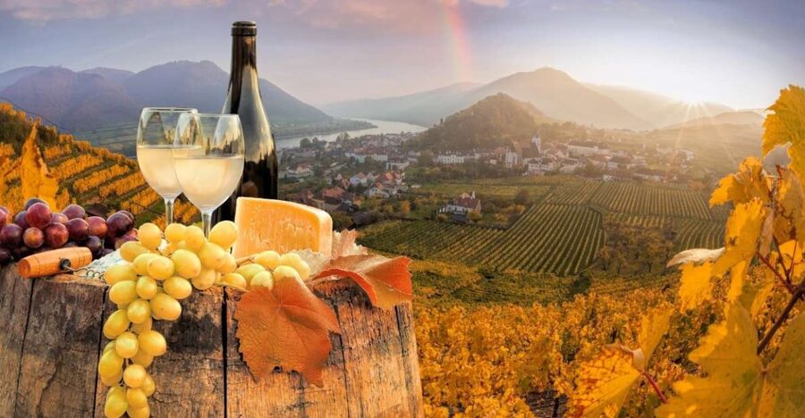 Vienna: Winery and Wine Tasting Tour with a Wine Expert - Choosing between two hours and three