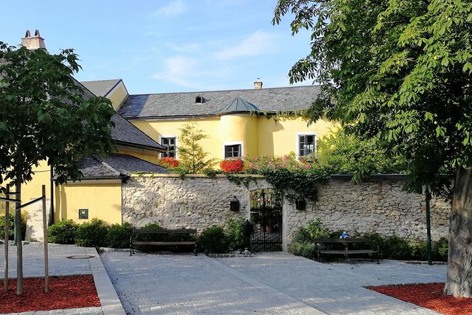 Vienna Woods Wine Tour - Wines, Vines & Good Times! - The afternoon visit with a local winemaker