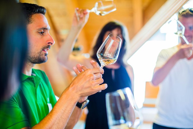 Wachau Valley Private Tour With Melk Abbey Visit and Wine Tastings from Vienna - Lunch and the family winery setting