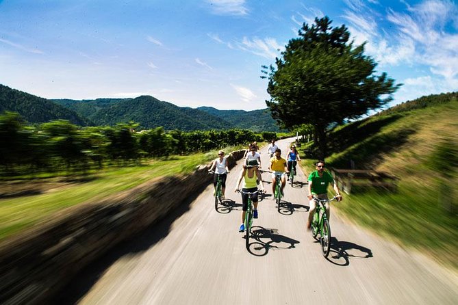 Wachau Valley Wine Tasting Bike Tour from Vienna - Riding beside the Danube toward Dürnstein