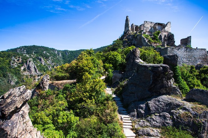 Wachau Valley Wine Tasting Bike Tour from Vienna - Tasting wine at local wineries