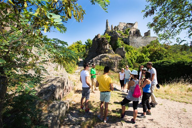 Wachau Valley Wine Tasting Bike Tour from Vienna - Lunch in Dürnstein or another wine village