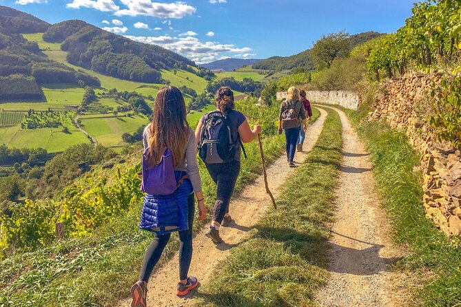 Wachau World Heritage Hike - Key points to know before booking