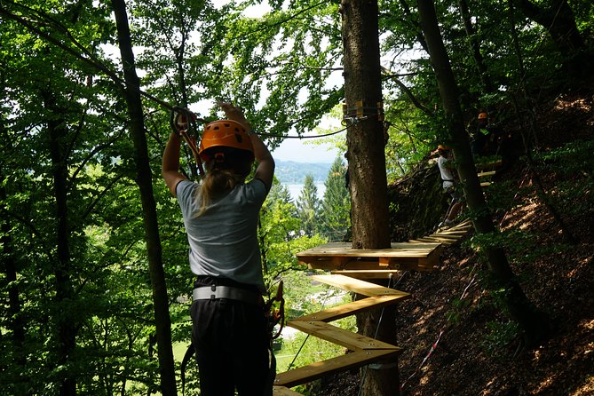 Waldseilpark Wörthersee - Height, platforms, and the practical drawbacks