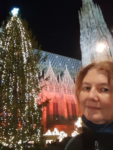 Wien: Tour with locals on the trails of the Christmas Tree - The first Vienna Christmas tree and the social story