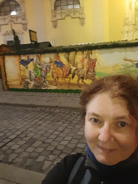 Wien: Tour with locals on the trails of the Christmas Tree - Rathausplatz and the Advent market finish