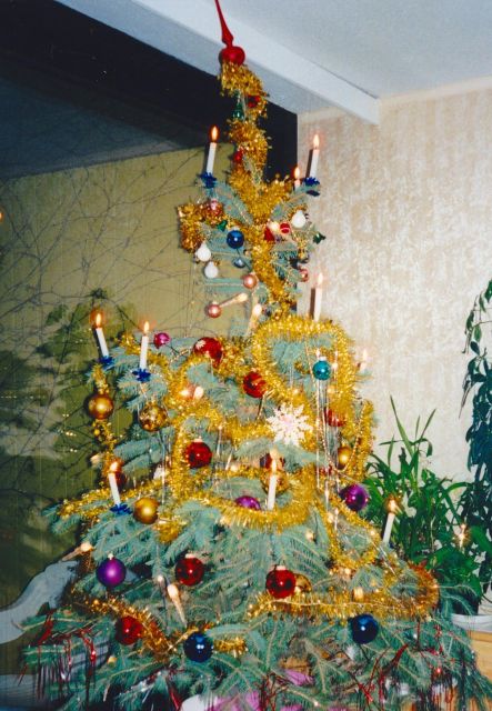 Wien: Tour with locals on the trails of the Christmas Tree - Who will enjoy Nicole’s guiding style