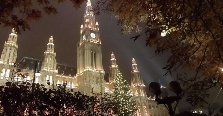 Wien: Tour with locals on the trails of the Christmas Tree - Starting beside the Anker Clock