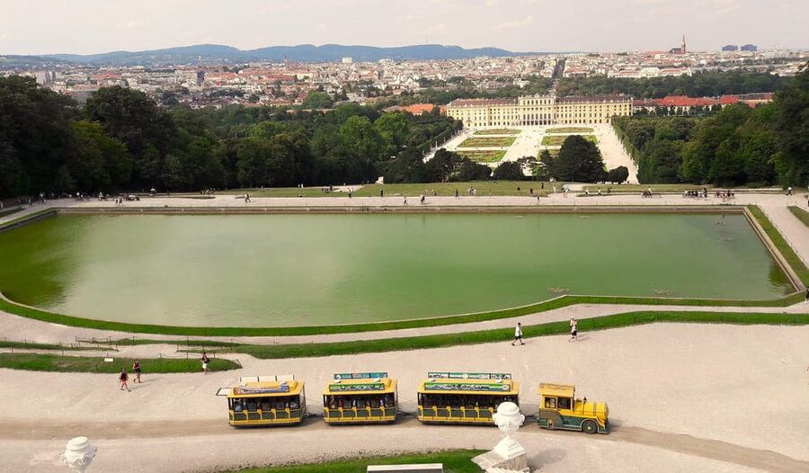 Wien: Tours with locals by public transport & walking - Why This Tour Works Best at the Start of Your Vienna Stay