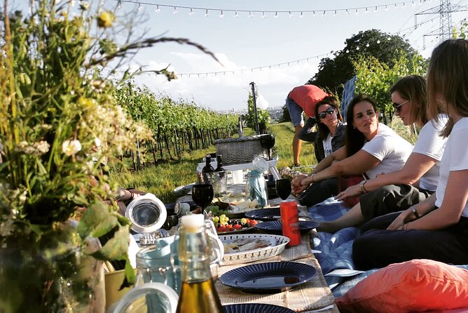 Wine Picknick overlocking vienna - Key points to know before booking
