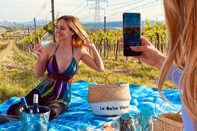 Wine Picknick overlocking vienna - The vineyard stop and its wide Vienna view